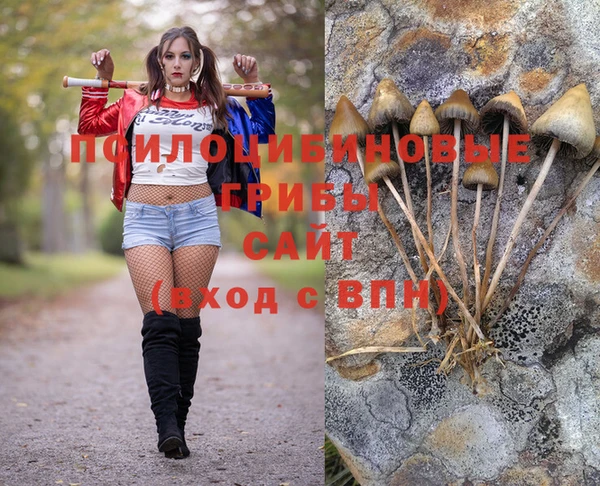mix Приозерск