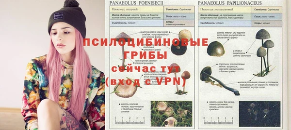 COCAINE Покров